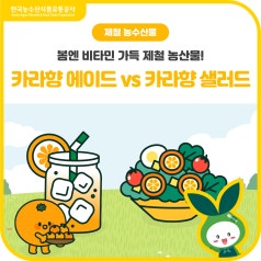 올봄엔 비타민 가득! 제철 [카라향]으로 상큼하게 충전해 보세요! 바로가기