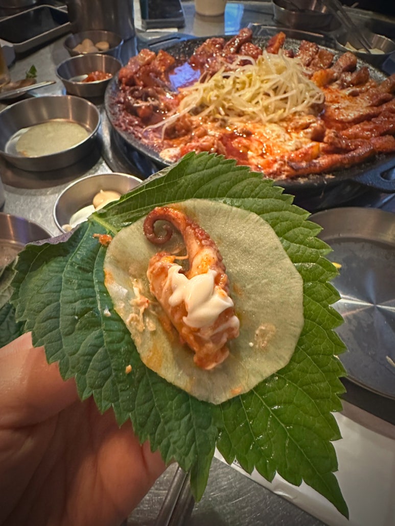 해가쭈꾸미 이미지