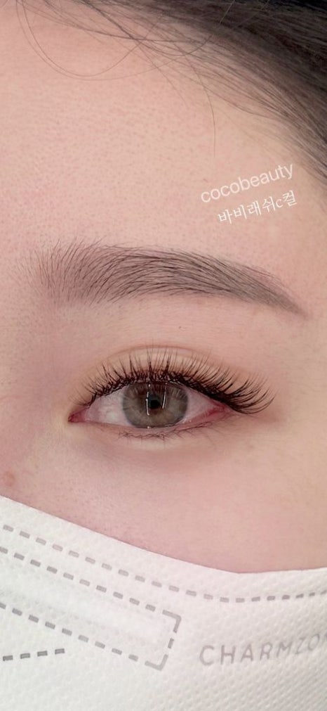 코코속눈썹 이미지
