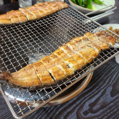 일미민물장어 이미지
