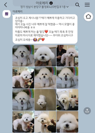딸기헤어샵 이미지
