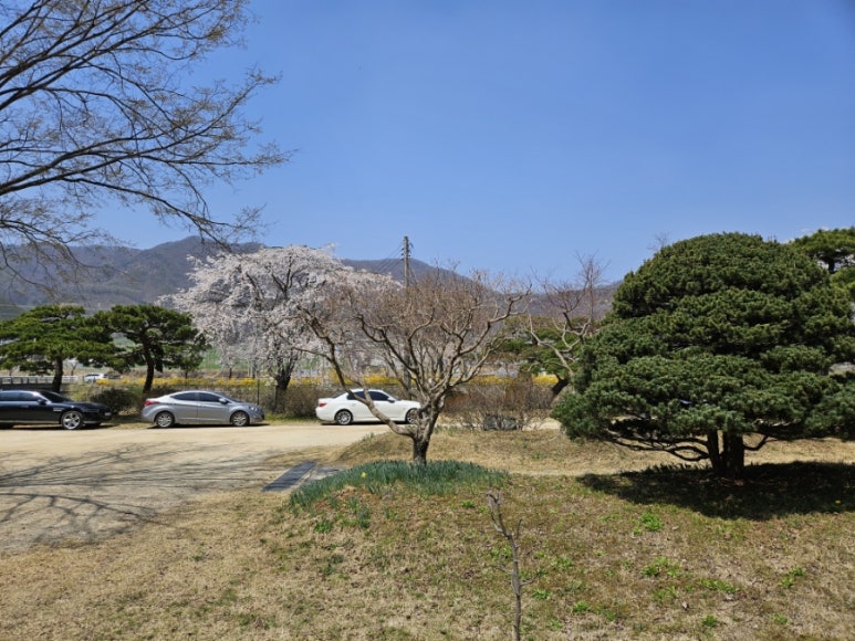 우진조경 이미지