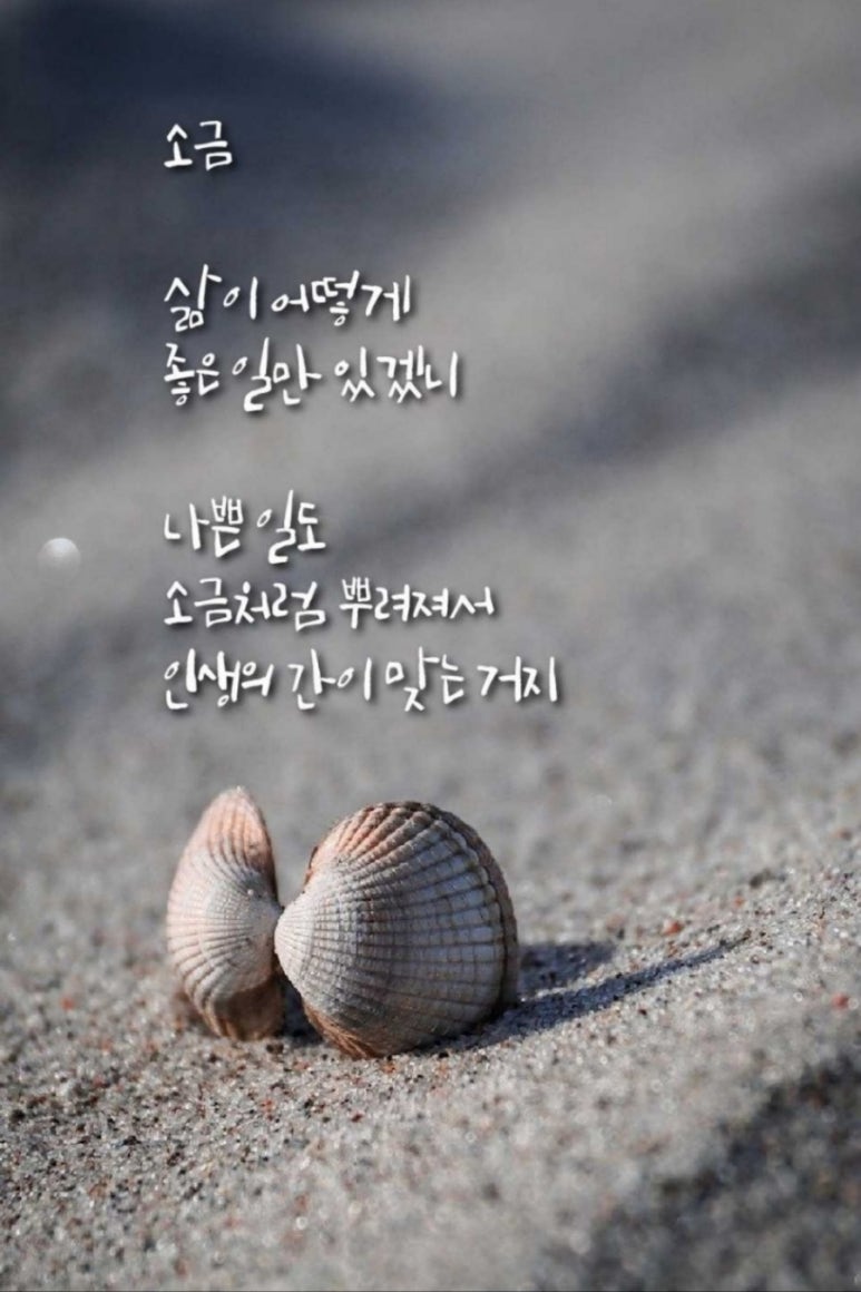 친절정육점 이미지
