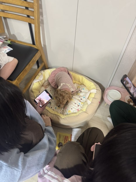 수연헤어스토리 이미지