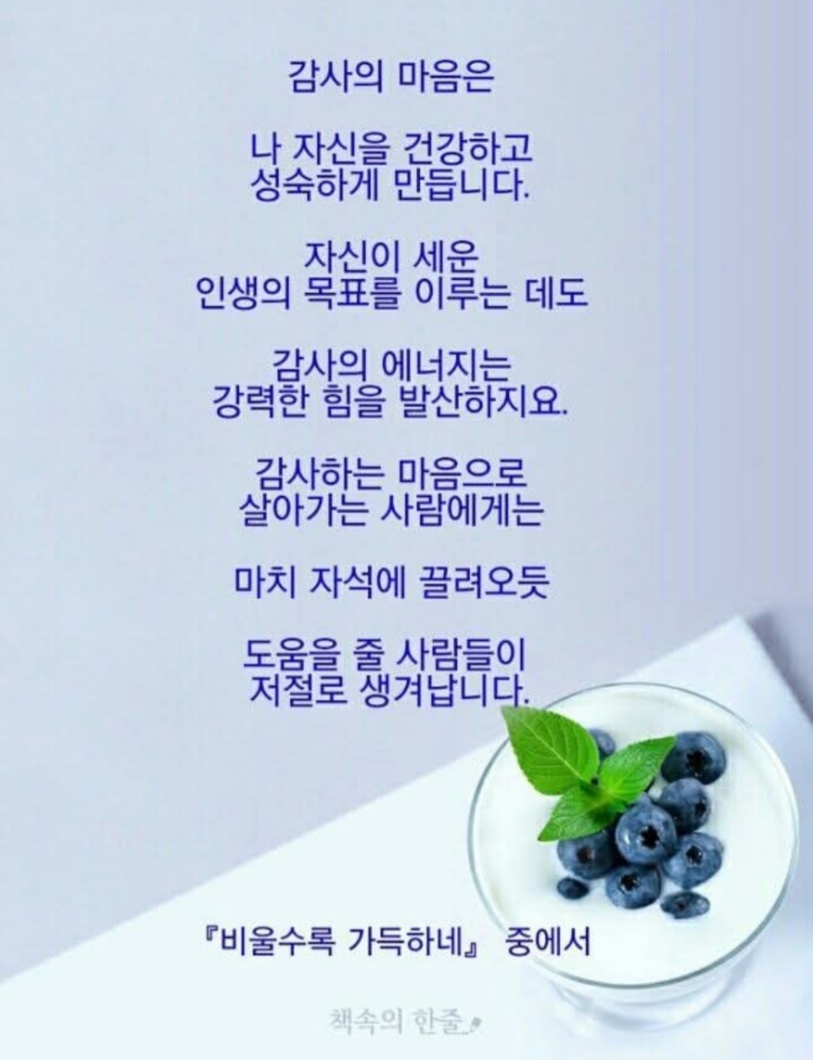 모란동백갤러리 이미지