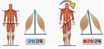 제로백피트니스 이미지