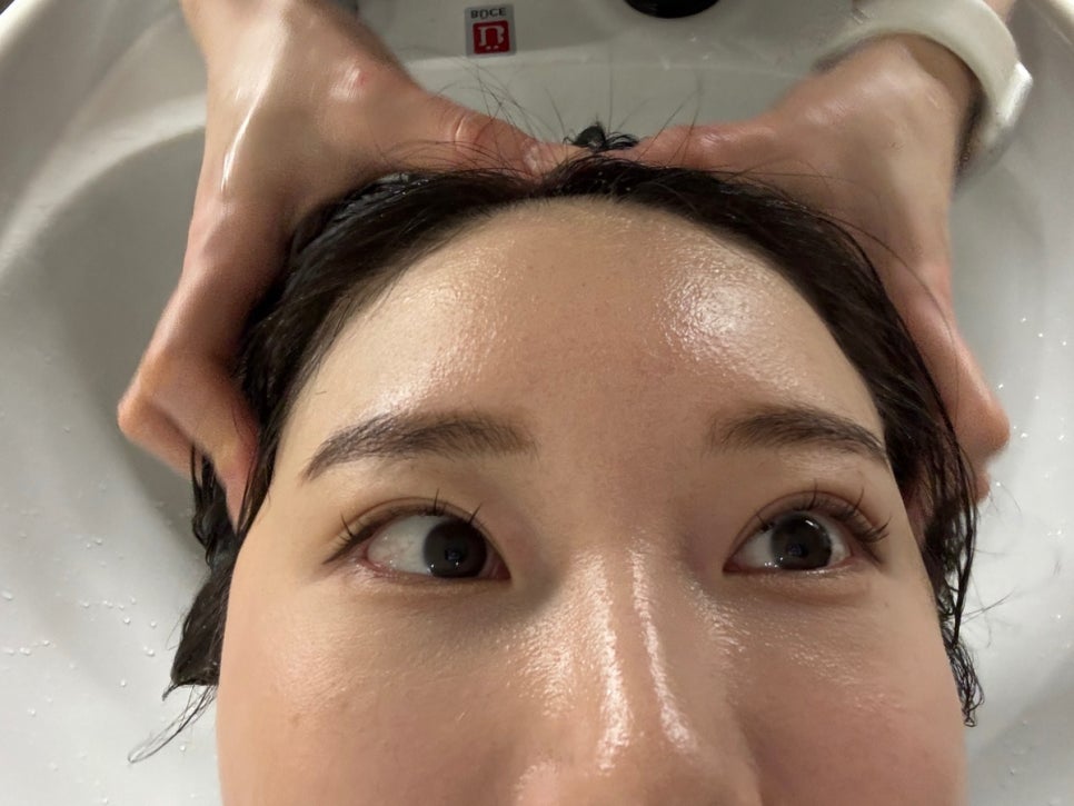 원지컨설팅 이미지