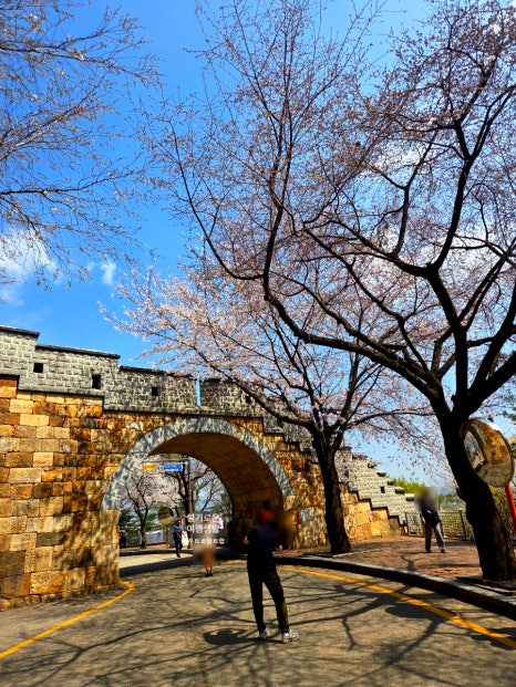 Suwon Hwaseong Namporu