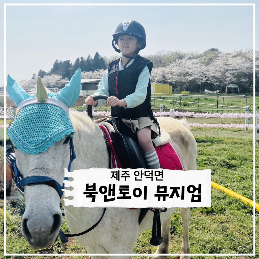 북앤토이 이미지