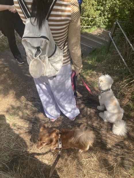 산보클럽 이미지