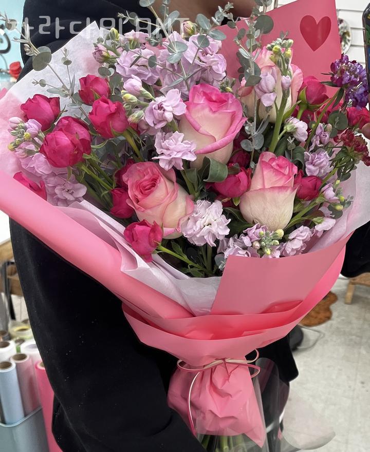 자라다plant 이미지