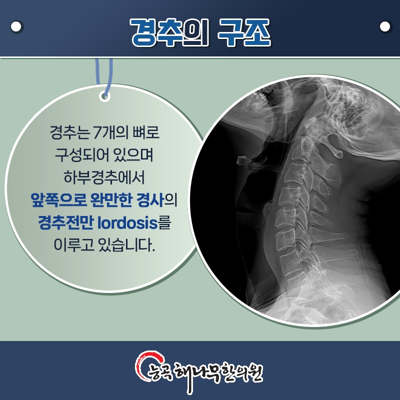 안아파한의원 이미지