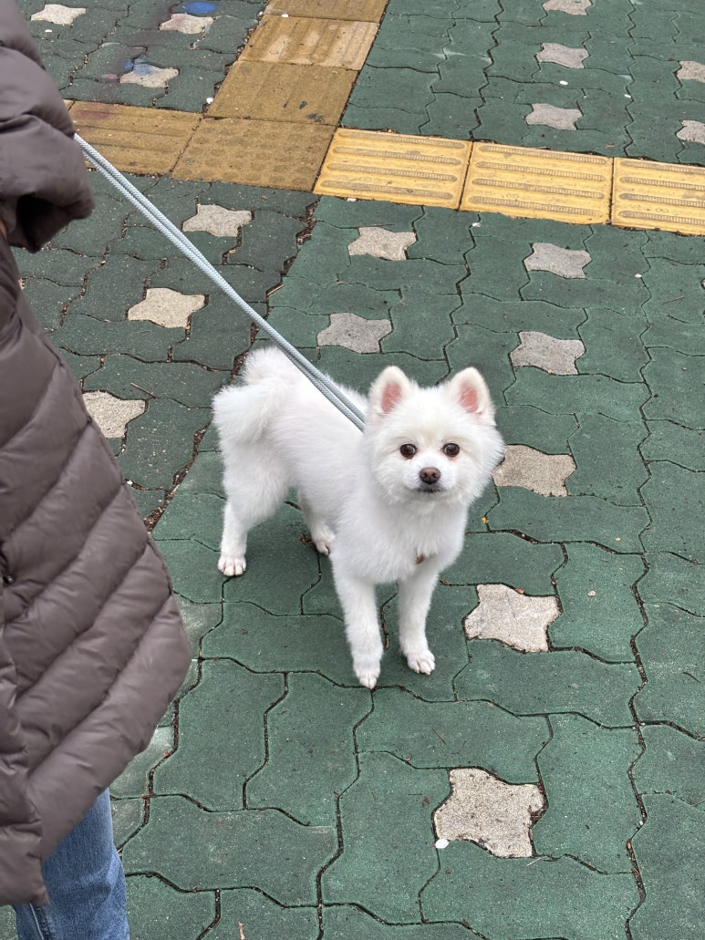 에바가위컷 전문점 이미지