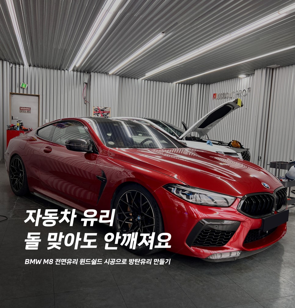 나인티게러지 이미지