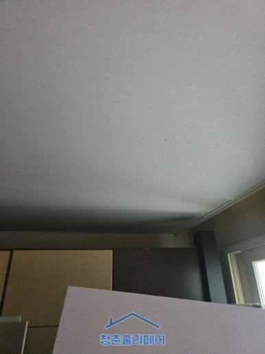 청춘집수리 이미지