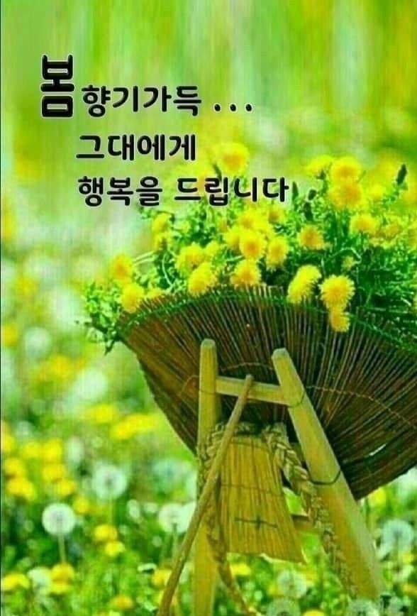 수지상사 이미지