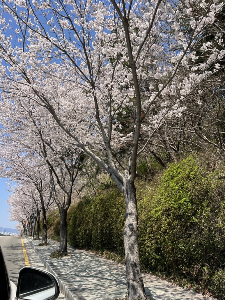 리틀베어베이크샵 이미지