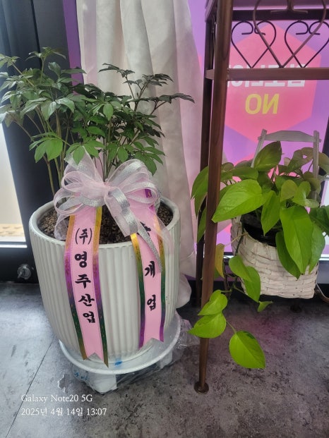 큐사랑염색방 이미지