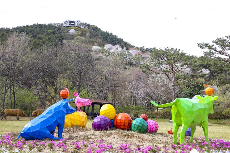 일월꽃식물원 이미지