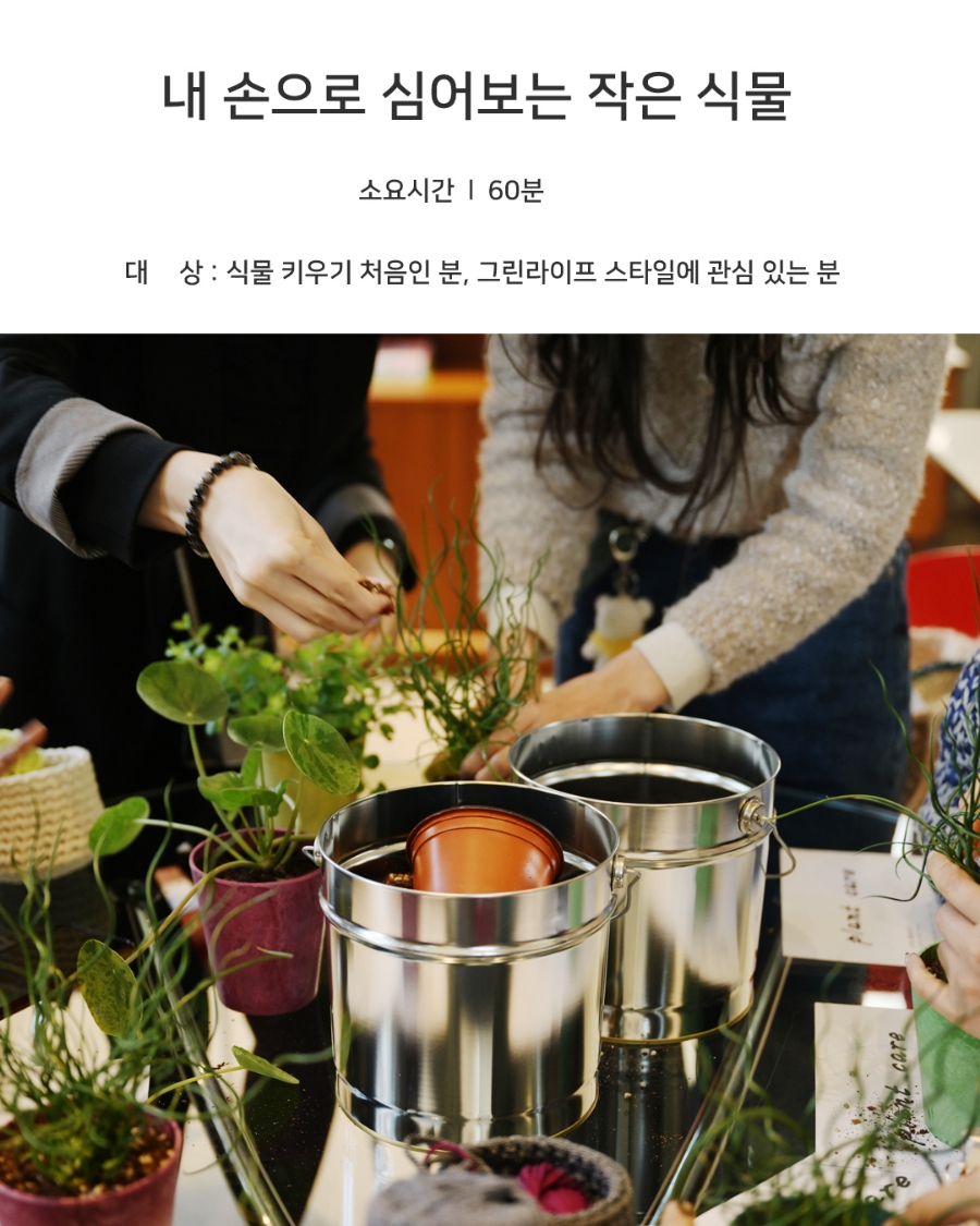 미미살롱 이미지