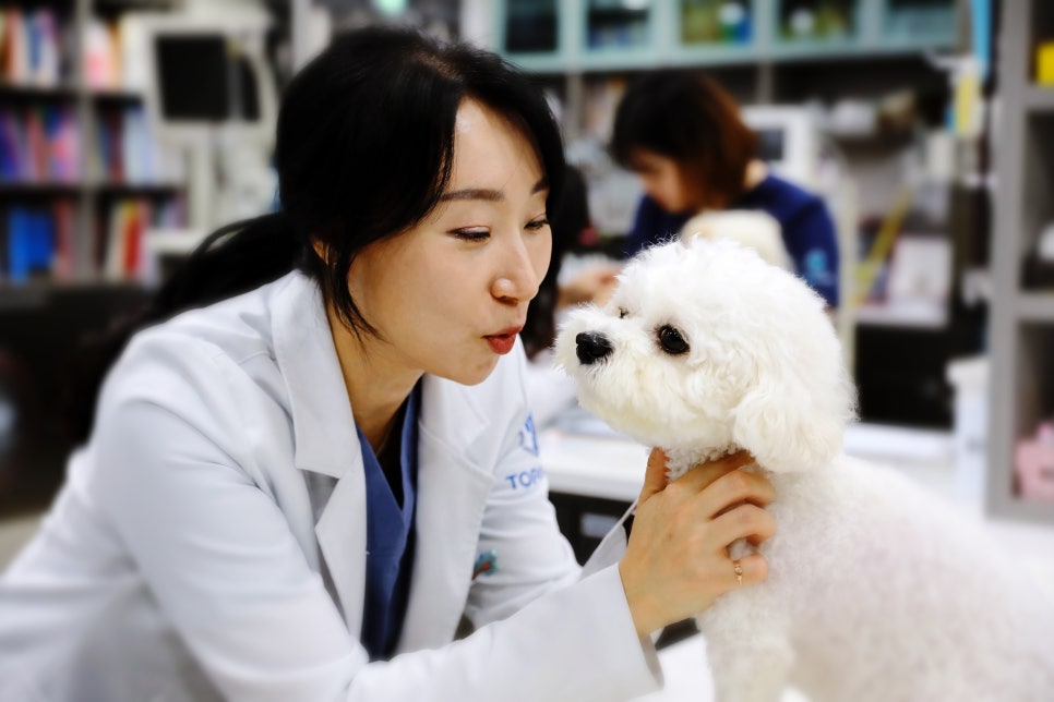 홍지희내과 이미지