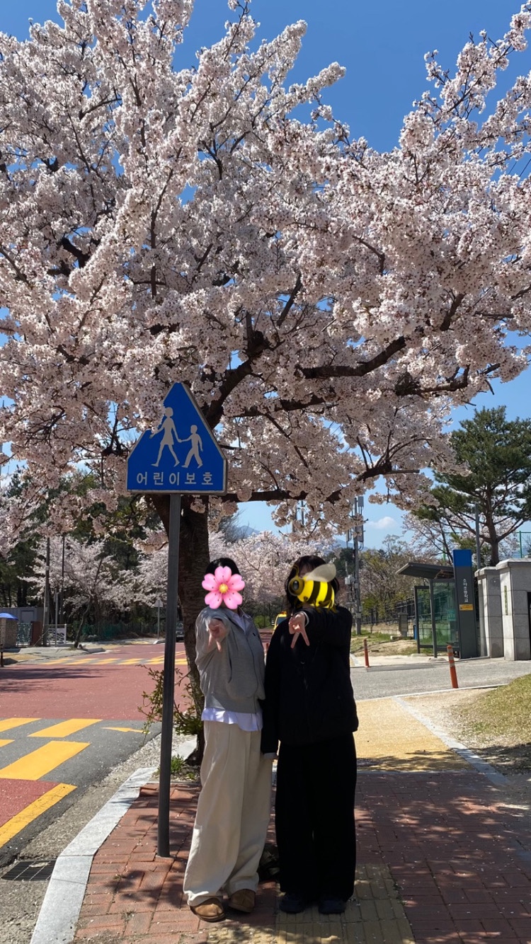 맥도날 이미지