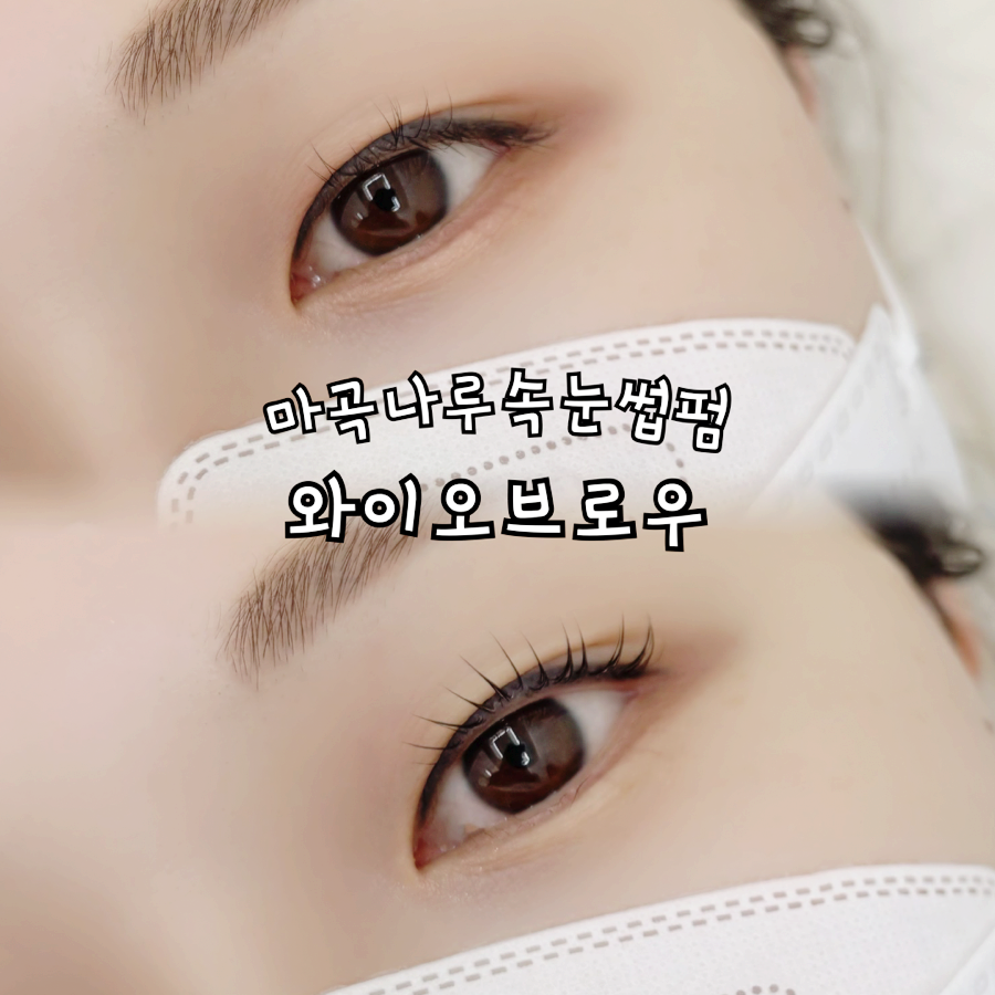 와이오 브로우 이미지