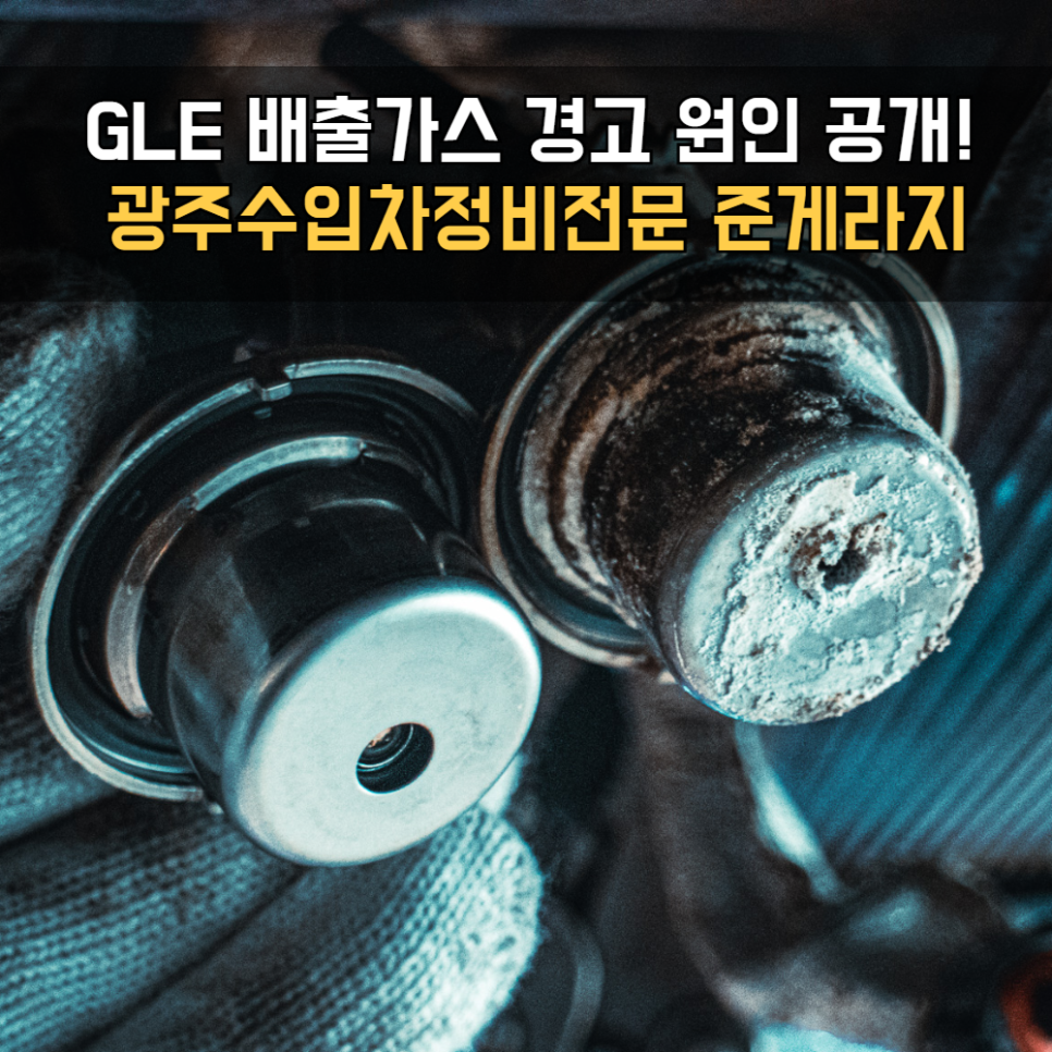 준게라지 이미지