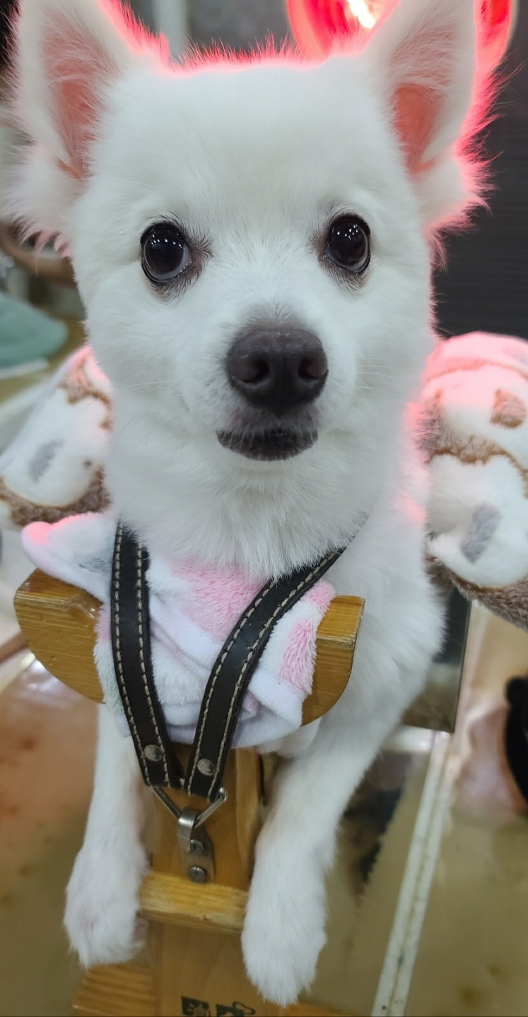 두암한방병원 이미지