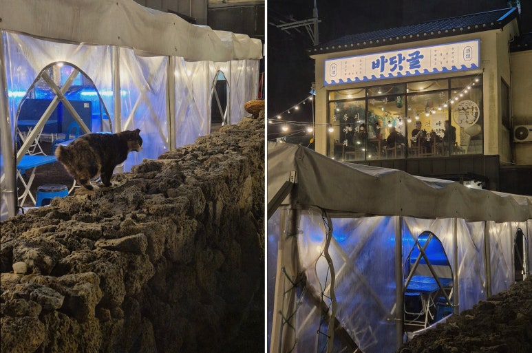 바닷골 이미지
