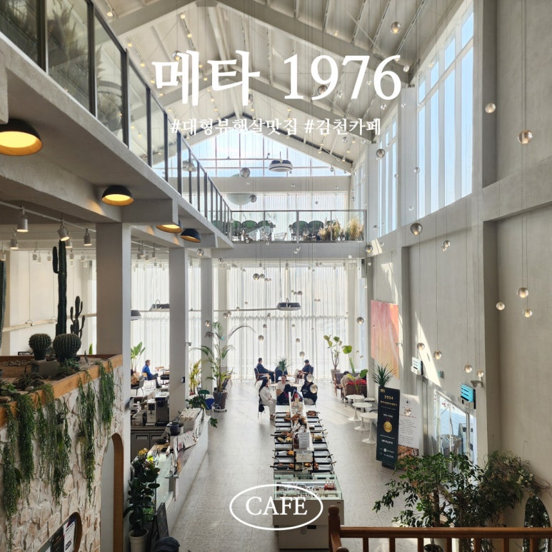 메타1976 이미지
