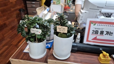 핏제리아 문 이미지