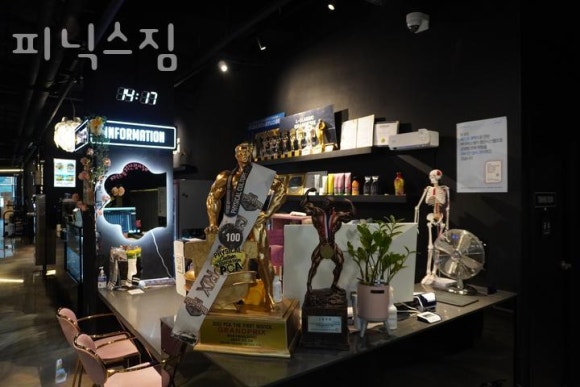 짐피닉스 이미지