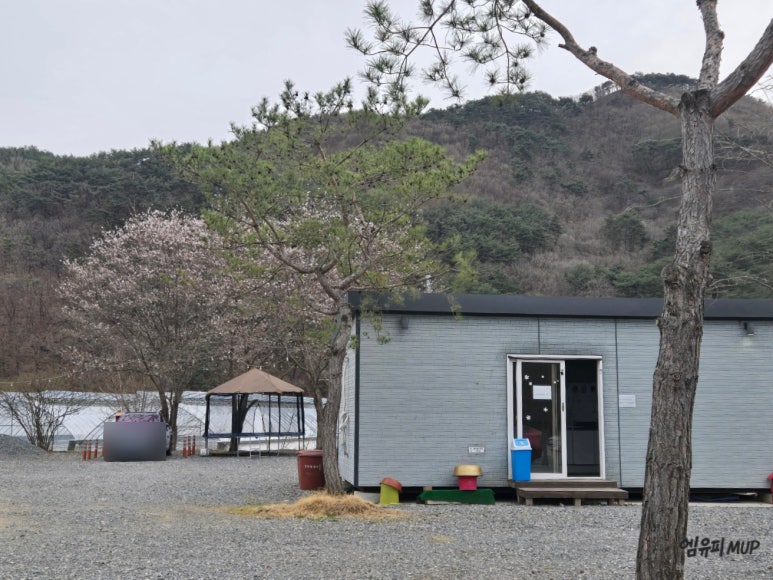 위드힐링캠핑장 이미지