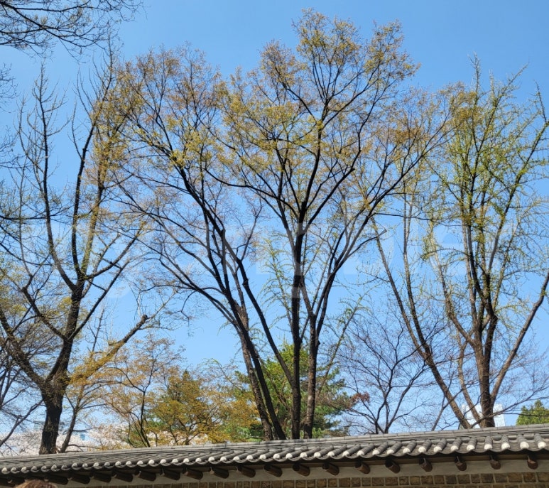 인생크레페 이미지