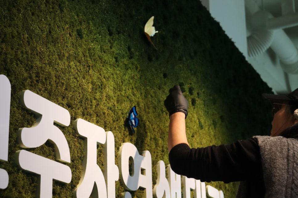 모스디자인주 이미지