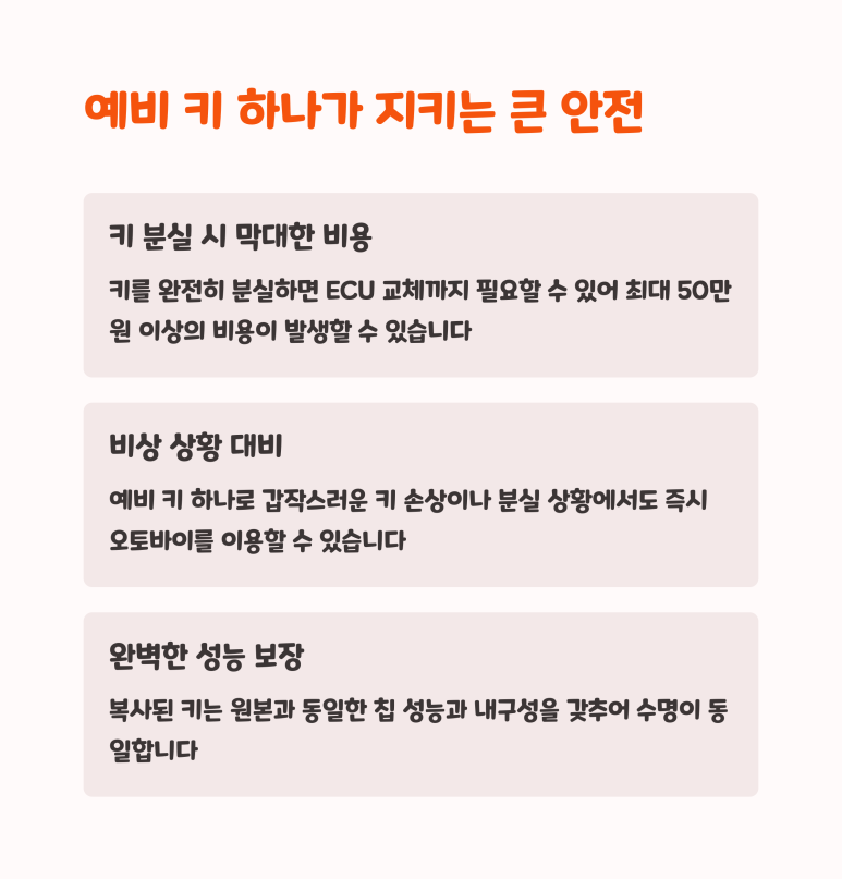 대한복사 이미지