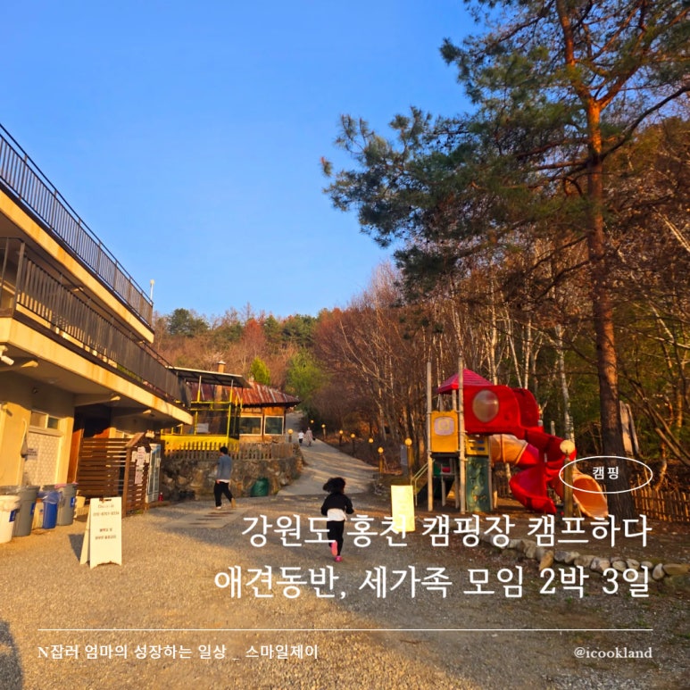 캠프하다 이미지