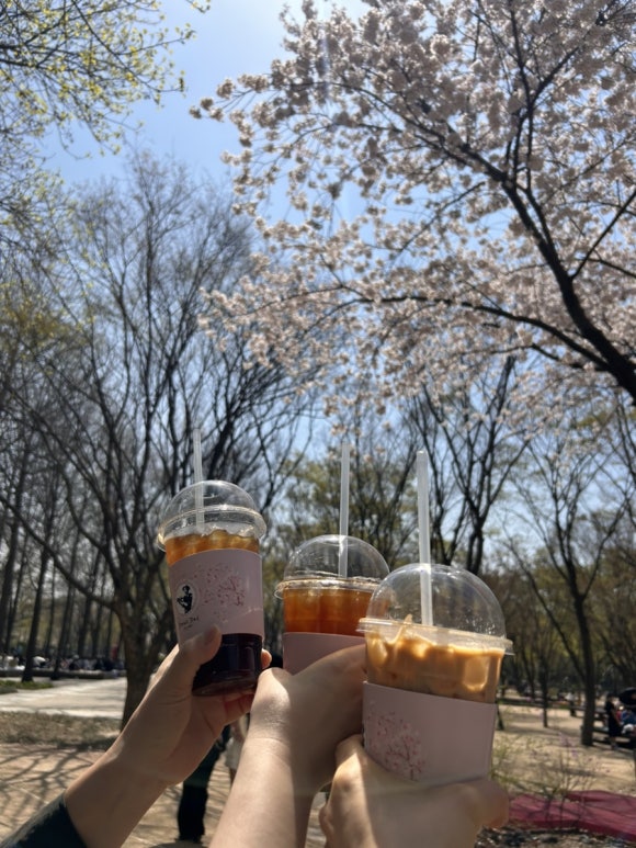 부오이서울 이미지