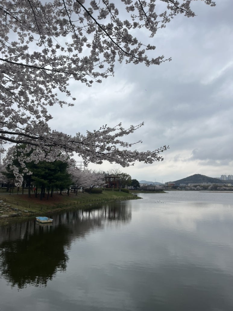미당화랑 이미지