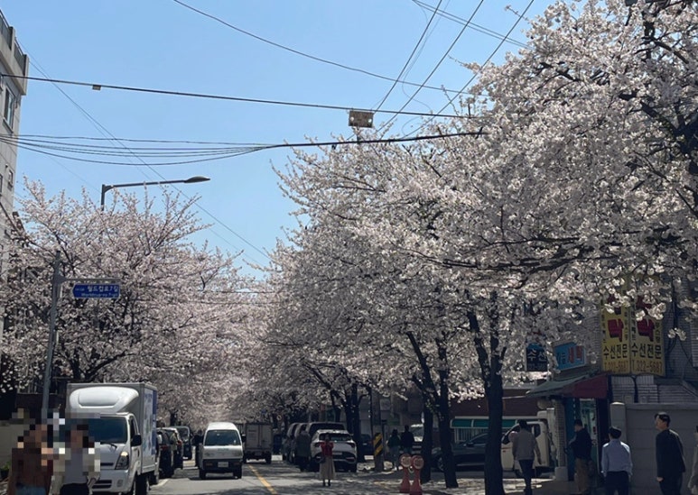 얼큰이왕냉면 이미지
