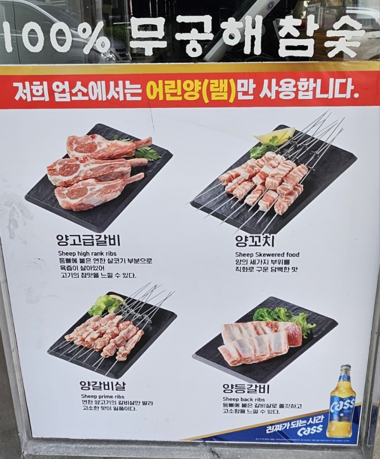 동백양과 이미지