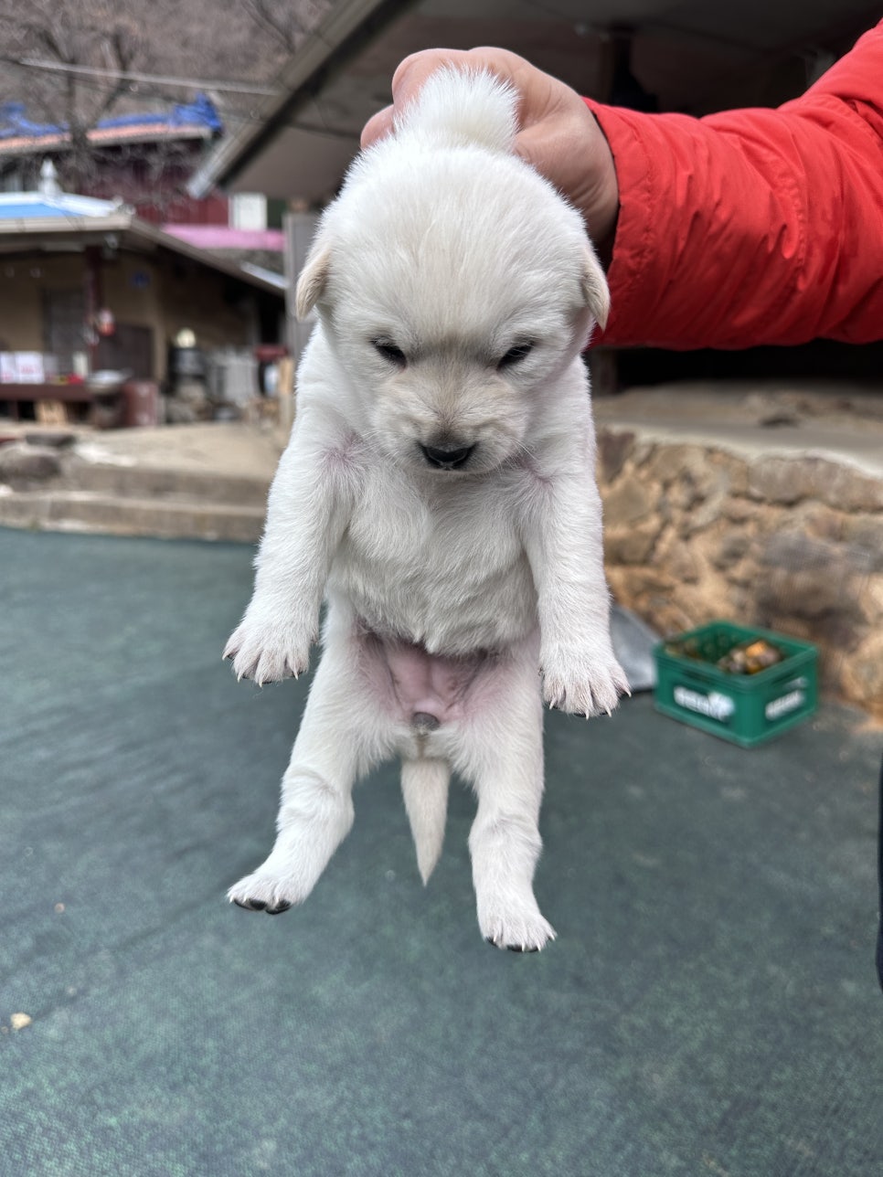 삼정민박 이미지