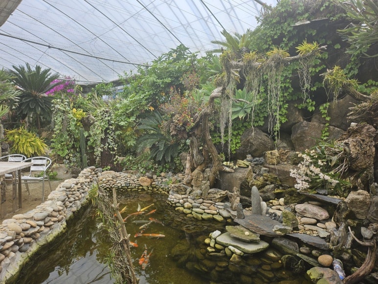 장수식물원 이미지