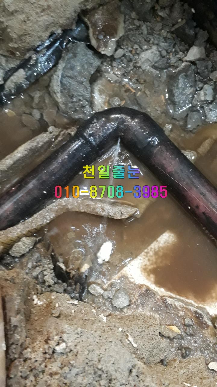 대한종합개발 이미지