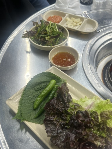 돼지나라갈매기꿈 이미지