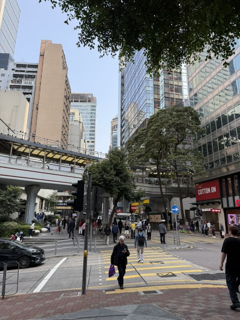 삼일네온 이미지