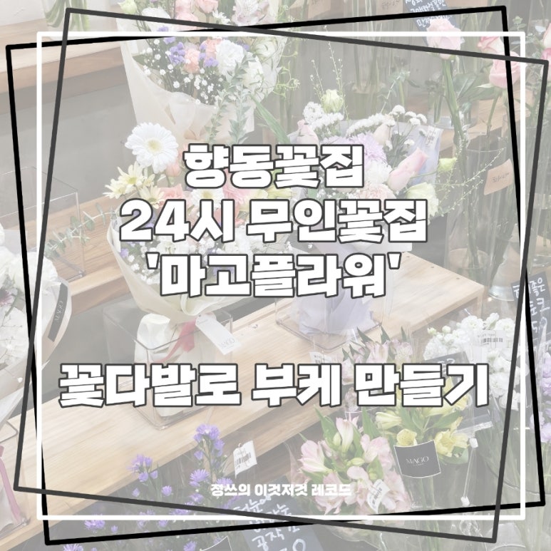 마고플라워 이미지