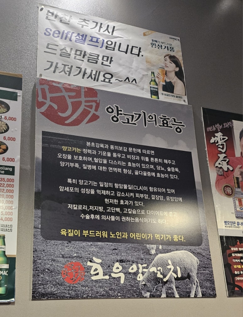 동백양과 이미지