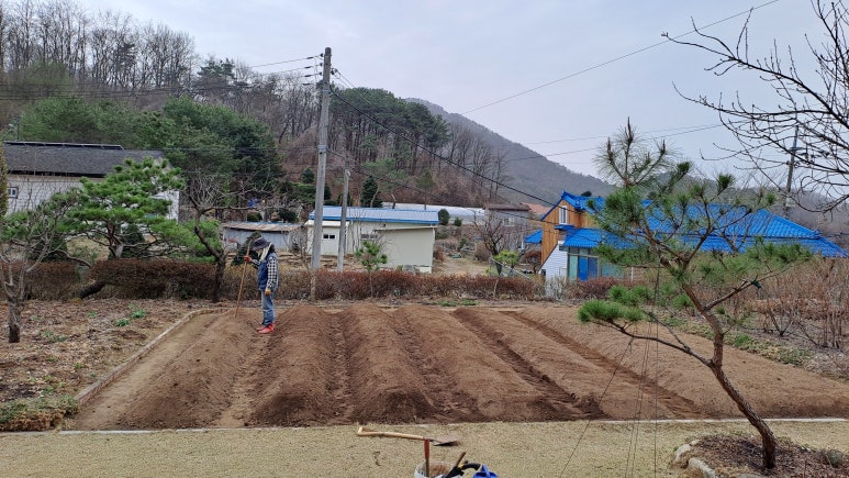 용성땅콩 이미지
